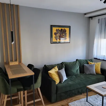 Apartment Boskovici 52