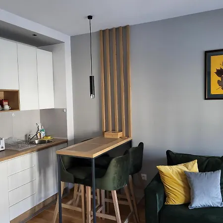Apartment Boskovici 52