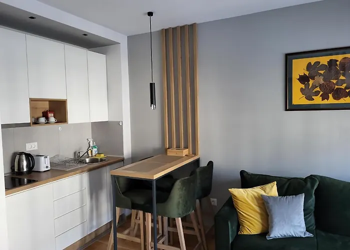 아파트 Boskovici 52